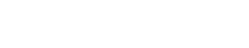 BCN Ideal Services